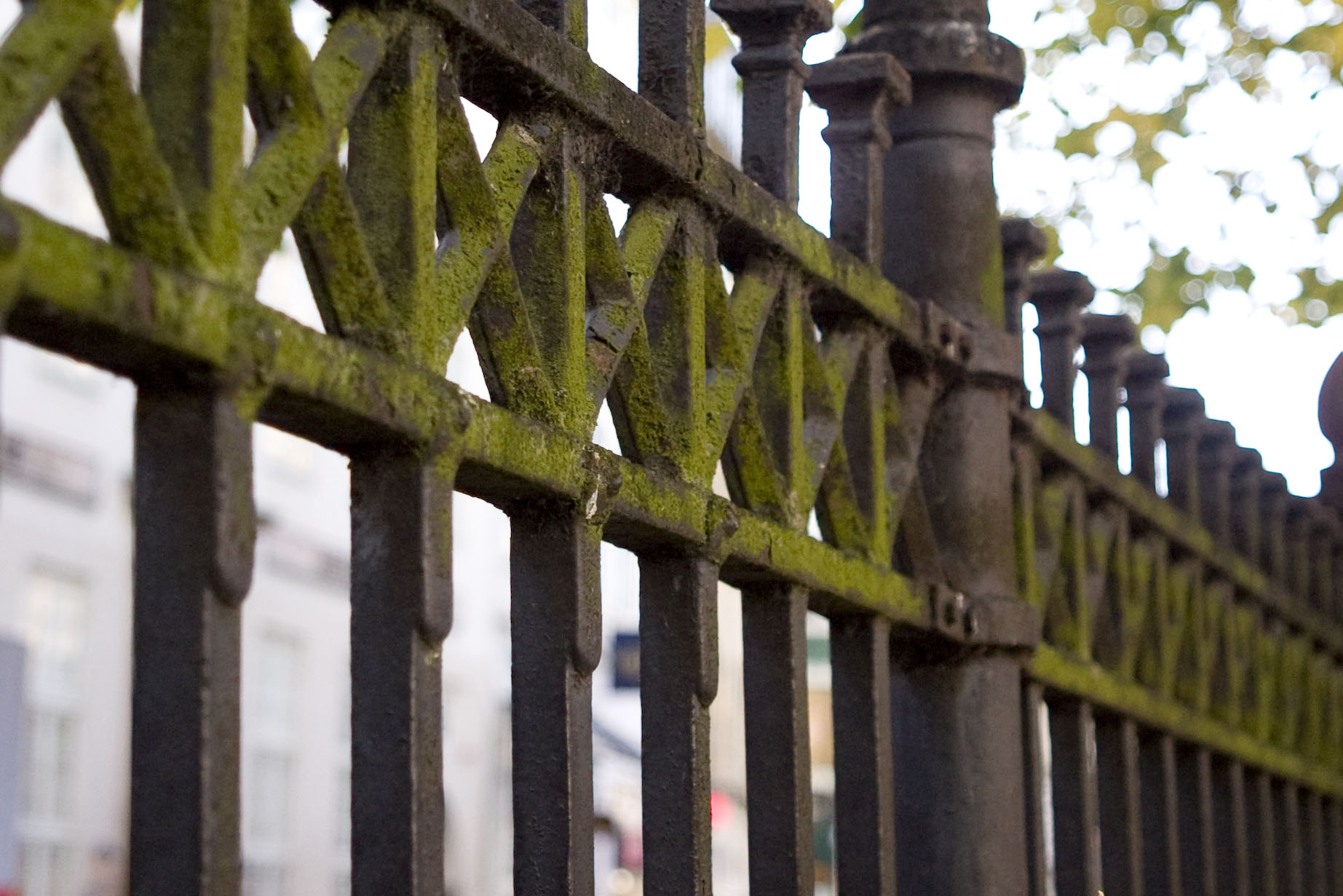 Fence rail at a Copenhagen churchyard. October 2008.
